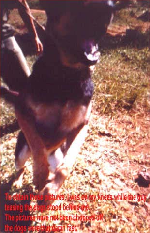 delta621