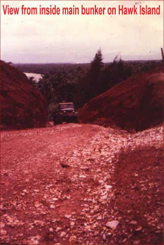 delta617