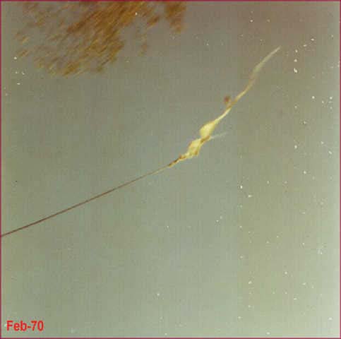 delta1147