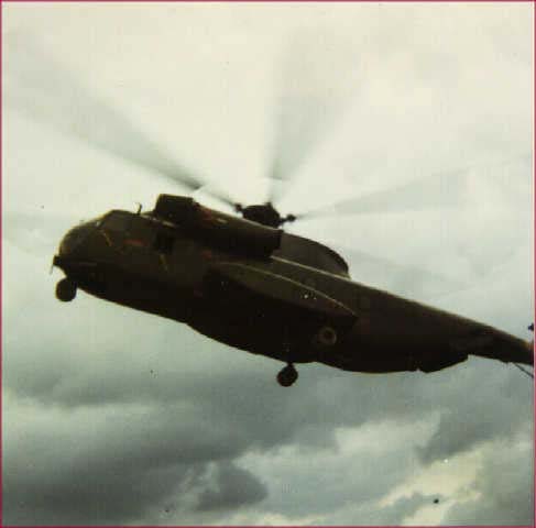 delta1006