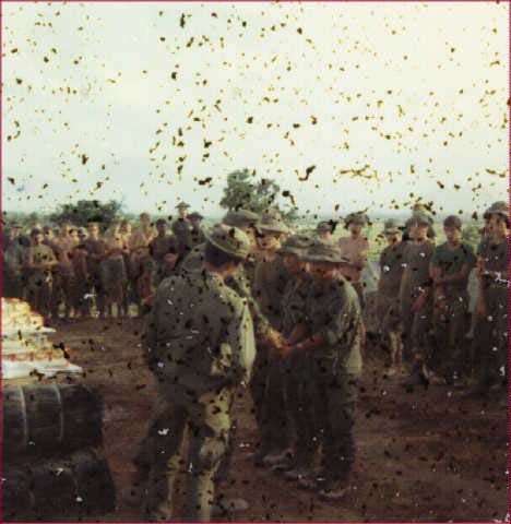 delta981
