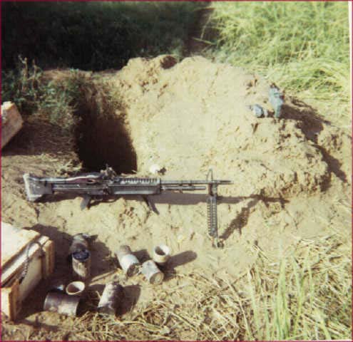 delta1197