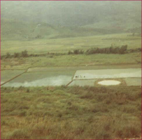 delta1285