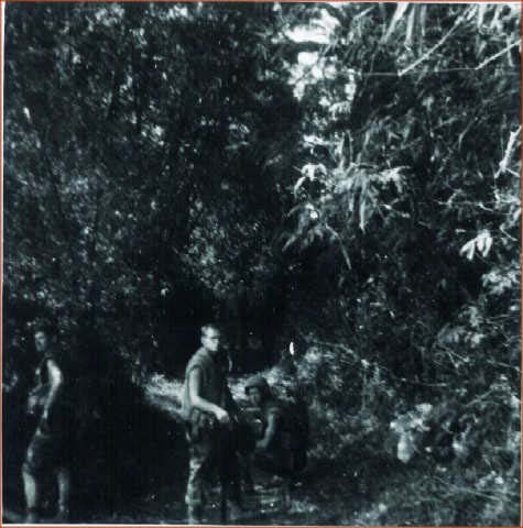 delta1441