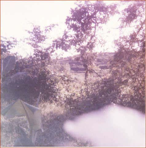 delta1465