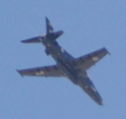 082810_9075