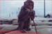 bob_lebeau05