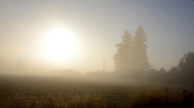 092212_4564