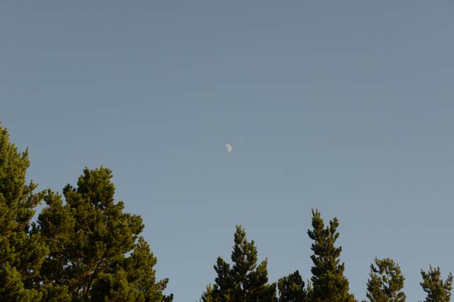 072415_8811