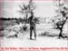 richard_shaffner04