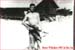 bruce_whitaker01