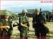 wayne_whitely04
