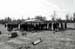031519_8463