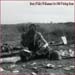 bruce_williamson03